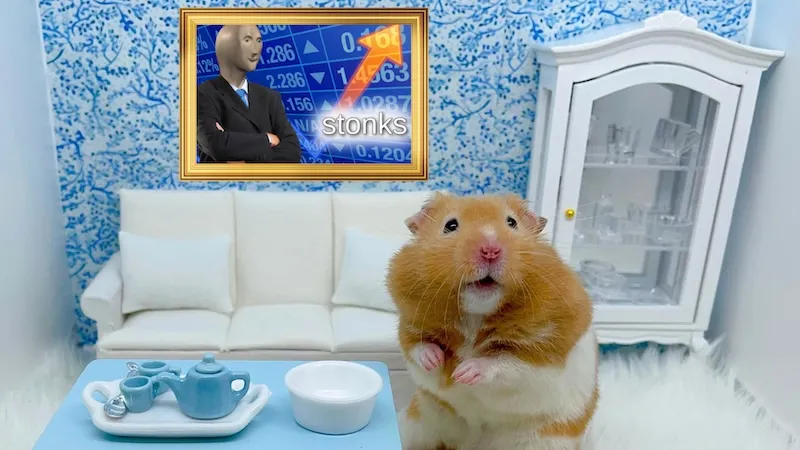 Какие показатели надо было качать в Hamster Kombat? Считаем задним числом