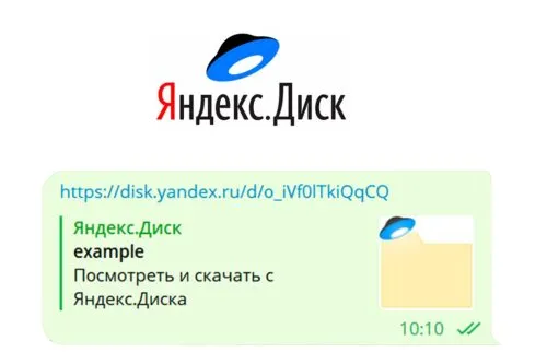 Девушка обругала «Яндекс» за стертые файлы. Она допустила одну ошибку и потеряла данные за 15 лет жизни