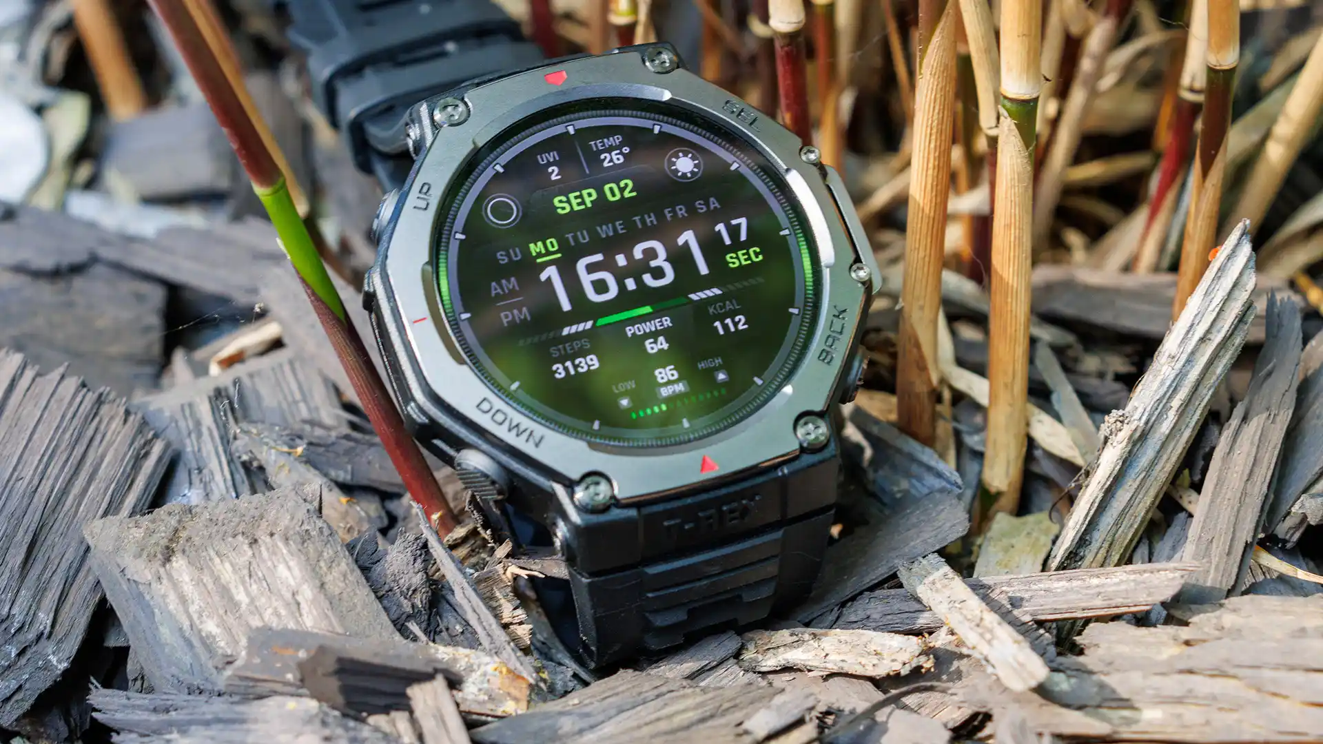 5 лучших смарт-часов Amazfit. Выбираем идеальный носимый гаджет