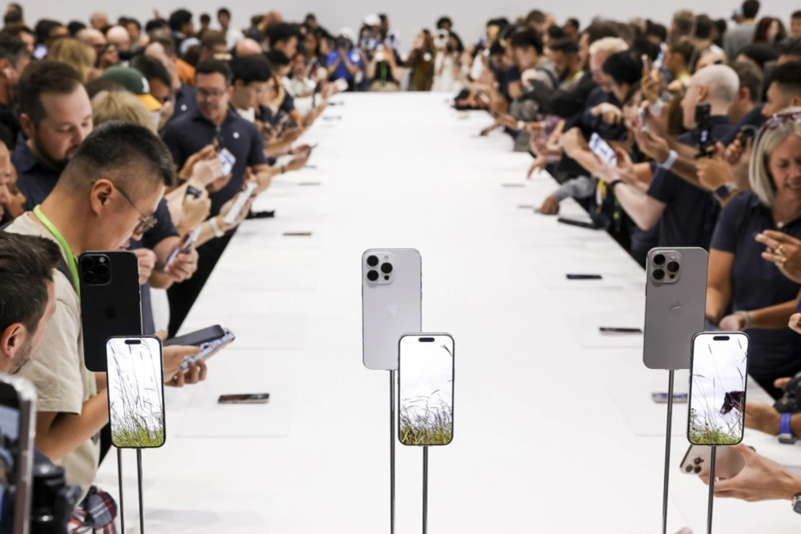 Какие iPhone выгодно брать в конце 2024 года? Полная подборка всех цен