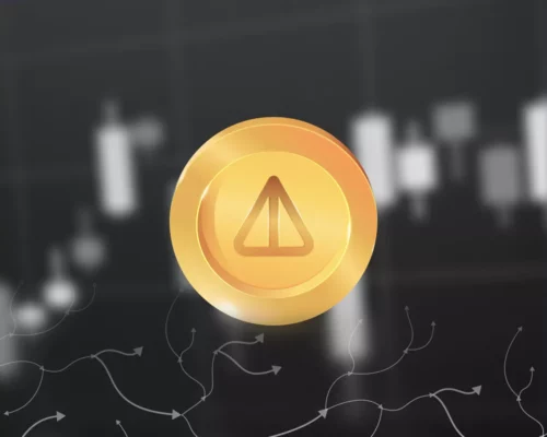 Сколько я заработал с «тапалок» в Telegram? Опыт Notcoin, Hamster Kombat и прочих игр