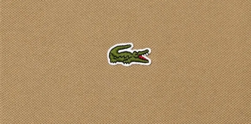 Одежда от Lacoste получила сочные скидки на Яндекс Маркете. Вот что нужно брать