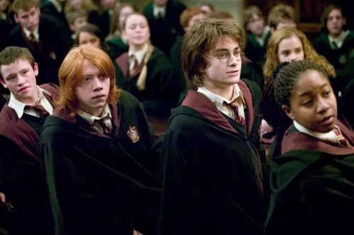 За что критикуют «Гарри Поттера»? Стереотипы, женщины и ненависть Роулинг к Франции