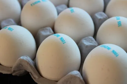 Как в России воруют куриные яйца? От этой уловки в магазинах страдают почти все покупатели