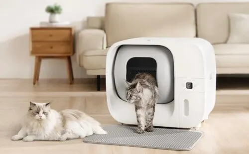 Умный лоток Amicura сам убирает за кошками и собаками. Он ликвидирует неприятный запах и следит за здоровьем питомца