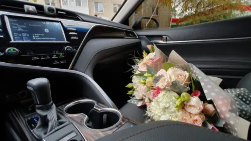 Какие цветы и букеты дарить девушкам? В соцсетях подготовили самую понятную инструкцию для мужчин